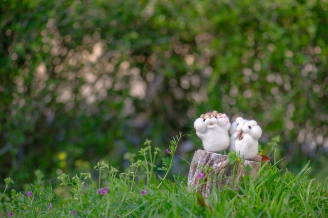 セイコーブライツの特徴やおすすめモデルを紹介