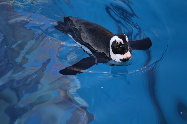 防水性能が高い