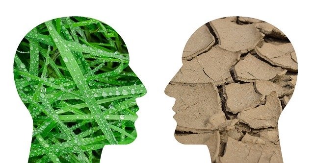 1.血糖値の変動を測定する