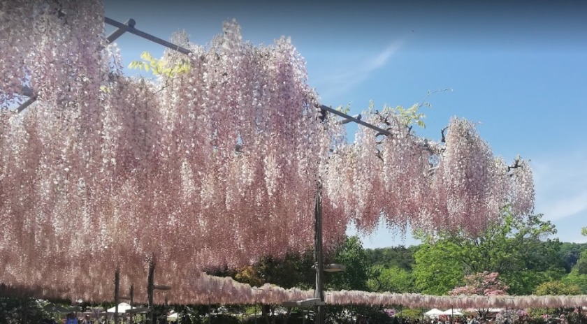 足利市の時計店：カワシマ時計店のメニュー・料金