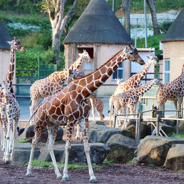横浜市旭区の時計店！電池交換や修理、買取販売のおすすめ店