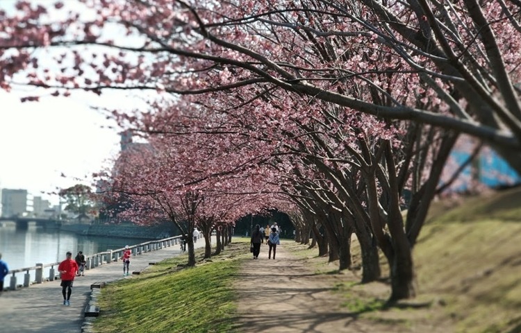 徳島市周辺の電池交換・時計修理店10選