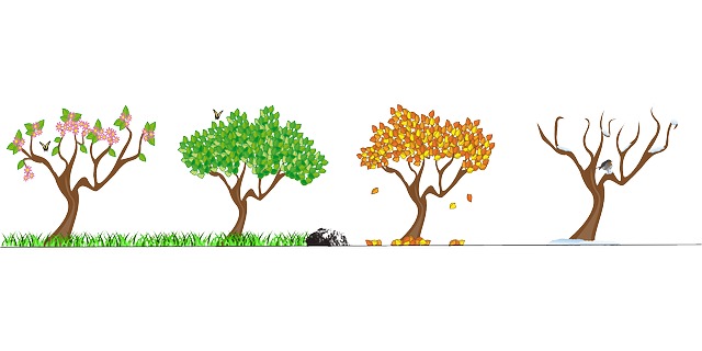 ④季節に合った「素材」を選ぶ