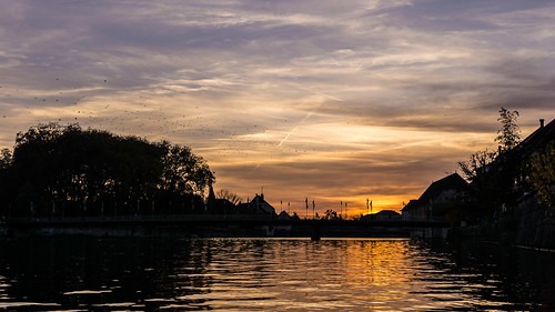 ラドウェザーの修理は実績のある修理店で