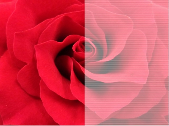 文字盤がコントラスト