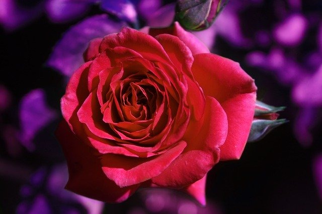 マイケルコース腕時計MK8184の口コミ