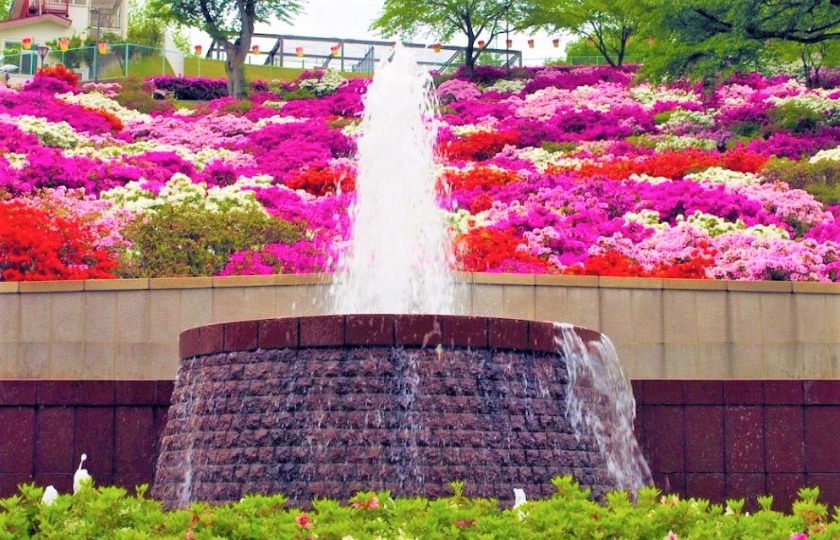 鯖江市の時計買取店 比較一覧表