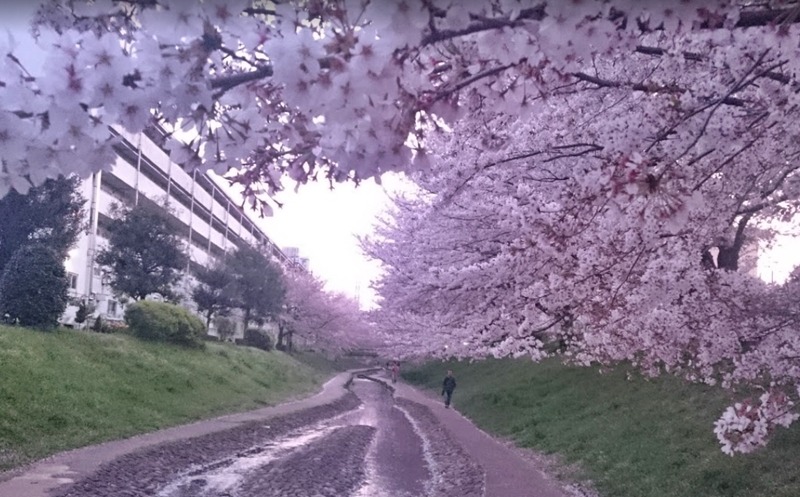 横浜市港北区の時計！電池交換や修理、買取販売のおすすめ店