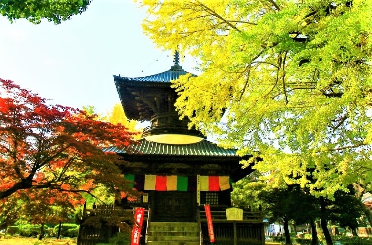 足利市の時計店：おたからや朝倉店の買取実績