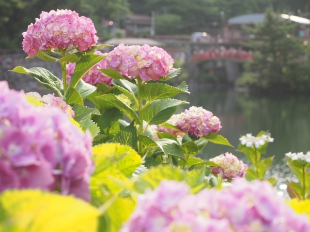 蒲郡市の時計店7選！電池交換や修理、買取販売のおすすめ店