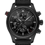 IW371815 セラタニウム