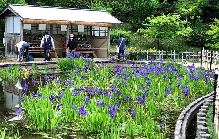 堺市北区の時計販売店2選