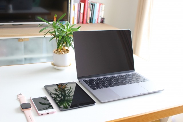 スカーゲンの時計ベルト/バンドを交換：腕時計ギフトのパピヨン 楽天店の基本情報