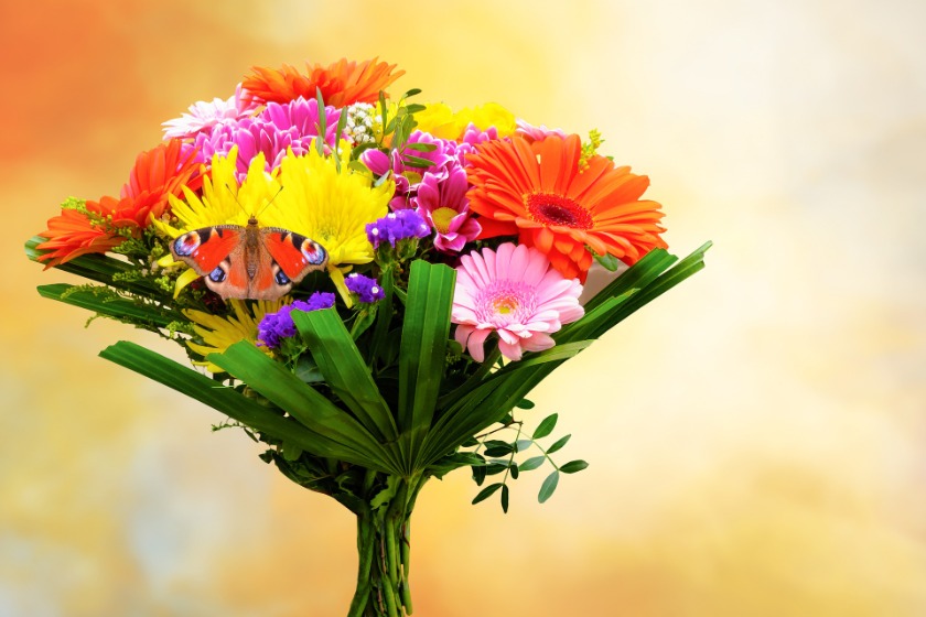 BRAUN(ブラウン)の時計はシンプルさを追求した時計