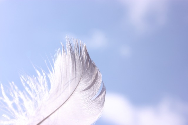 軽量で着け心地が良い