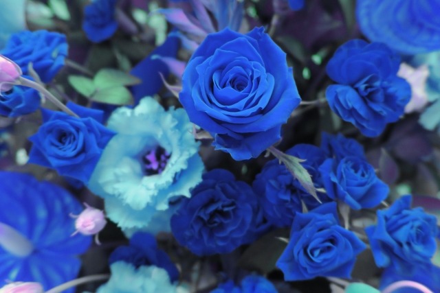 新たな青を表現するグラデーションが素敵