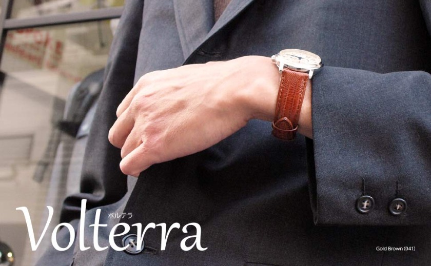 モレラート テジュリザード ボルテラ