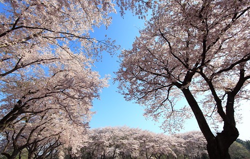 群馬県館林市の時計店は数は少ないが駅近くで便利