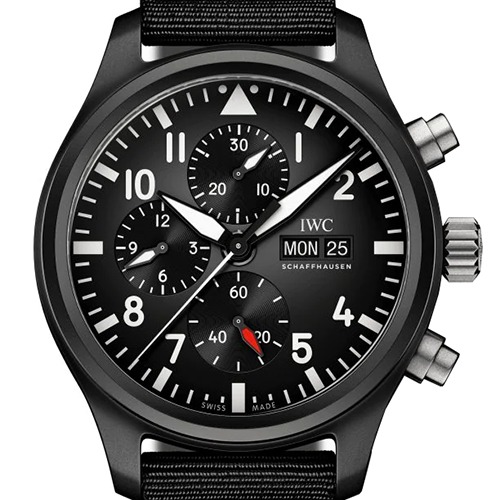 トップガンIW389101