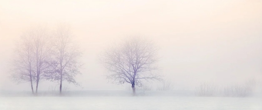 タイメックスの腕時計は価格だけでなく機能面も優れている