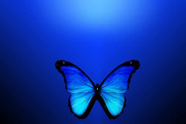 ブルーの文字盤