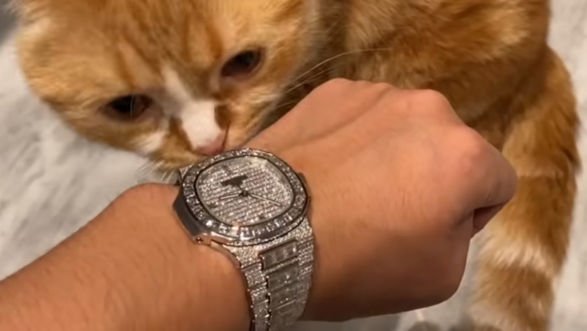 魅力2:人気YouTuberヒカキンが購入して話題に