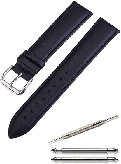 革ベルト派の意見