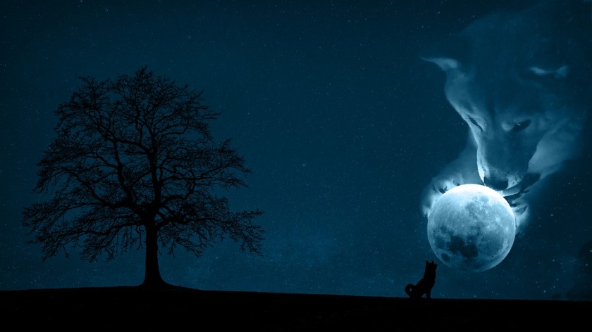 個性的なデザイン