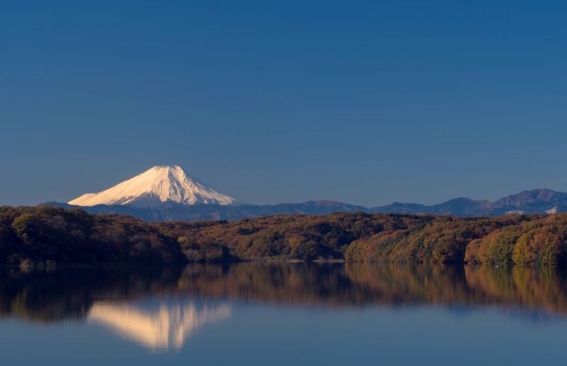 所沢市の時計店は販売店が充実 店選びは口コミを参考に