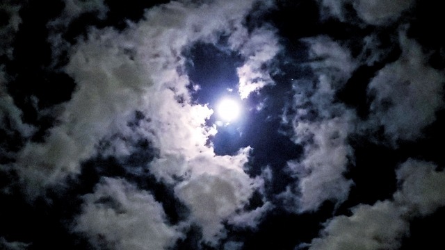 夜光インデックスで暗闇でも見やすい