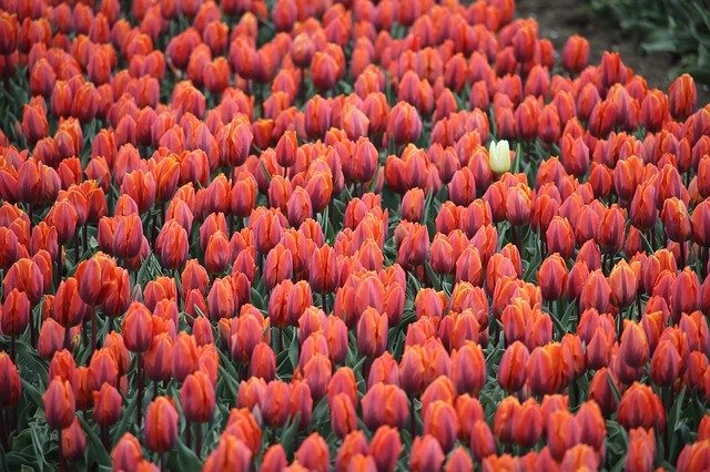 岐阜市の時計店：シバタ時計店の特徴