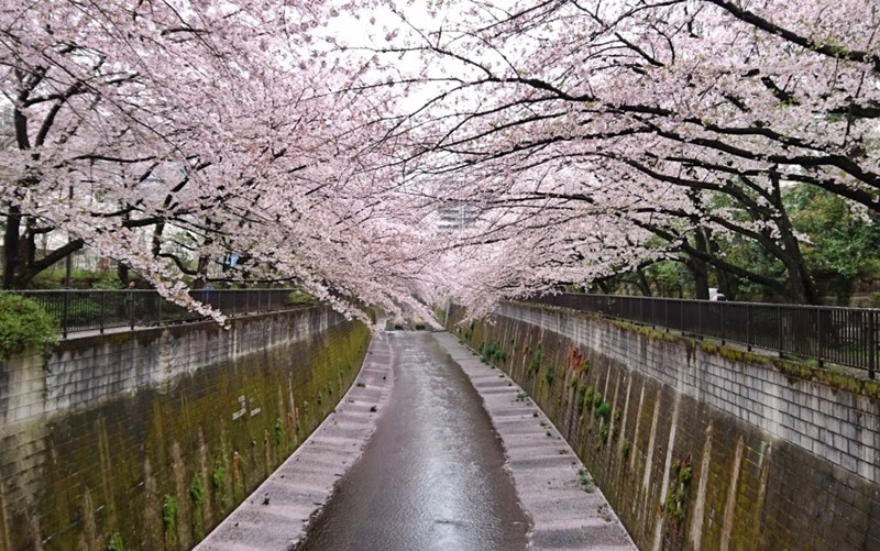 板橋の電池交換・時計修理店13選