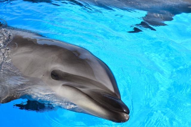 GWN-1000B-1BJFの特徴・機能