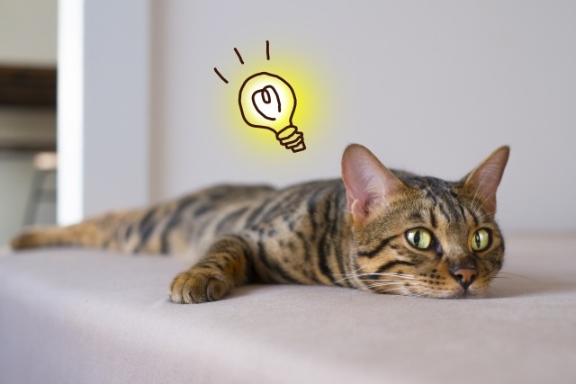 EQW-T620L-1AJFの口コミ