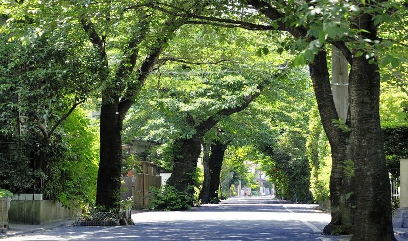 東京都世田谷区成城