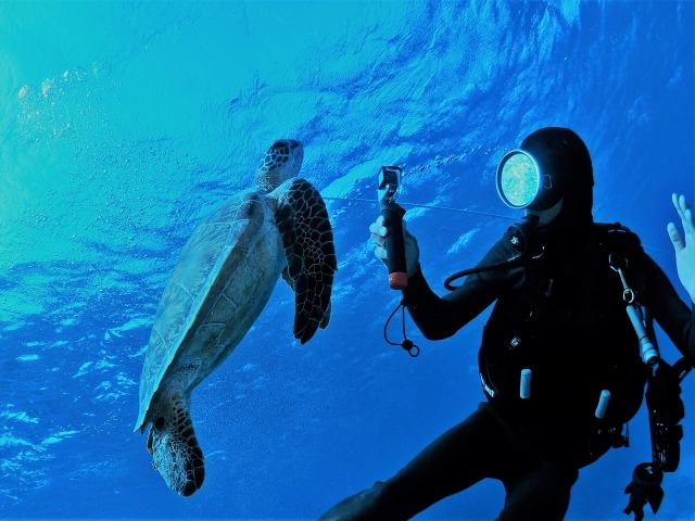 ダボサ(DAVOSA)の腕時計161.508.60の特徴・機能