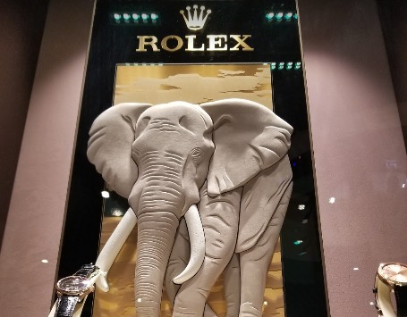 ハワイのロレックス：ケア トゥルノー2の特徴