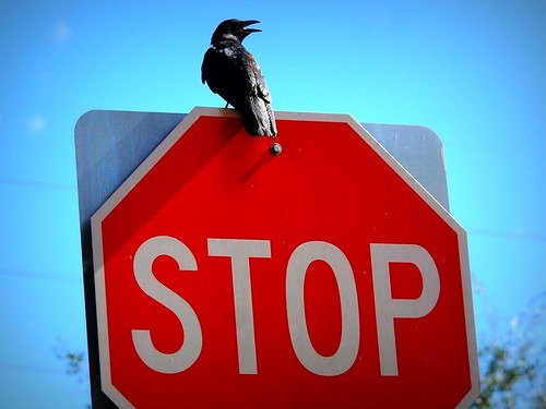 停波日は大丈夫？