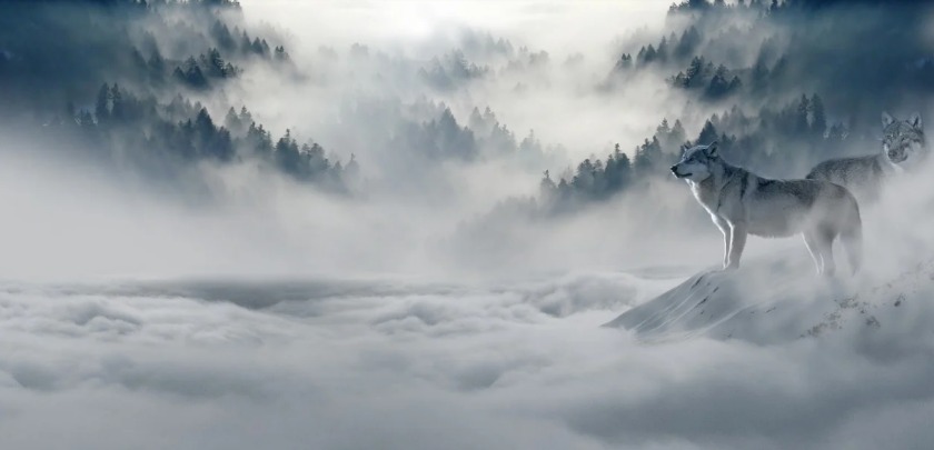 フランクミュラーコンキスタドールは個性が光るモデル