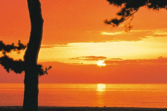 南あわじ市の時計買取店