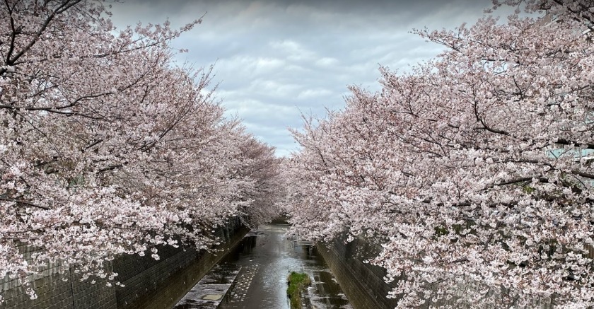 王子の時計買取店2選