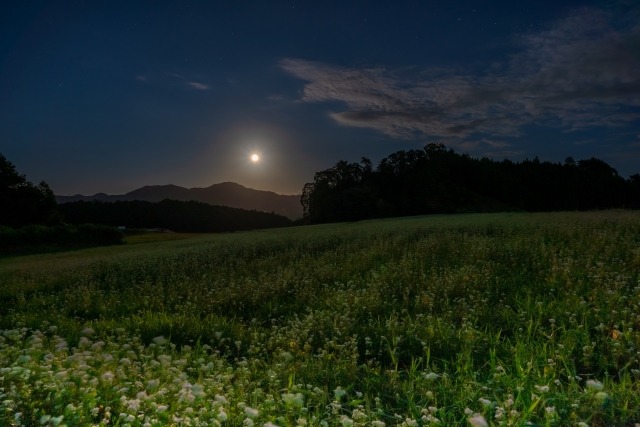 桜井市の時計店は？電池交換や修理、買取販売のおすすめ店