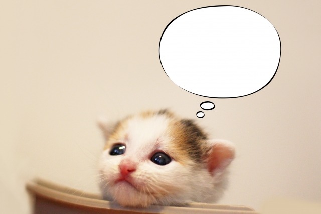 ポラールA300の口コミ