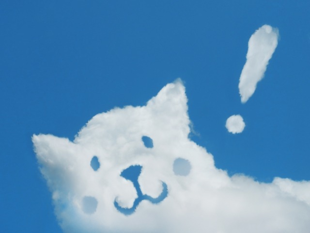 チプカシってどんな時計？