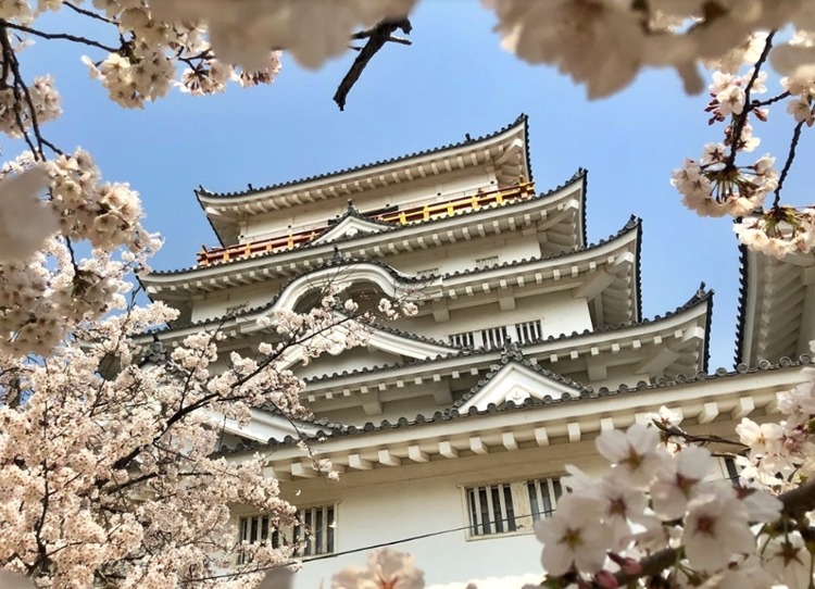 福山市の時計販売店9選