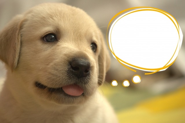 マークジェイコブスの腕時計：MBM8651の口コミ