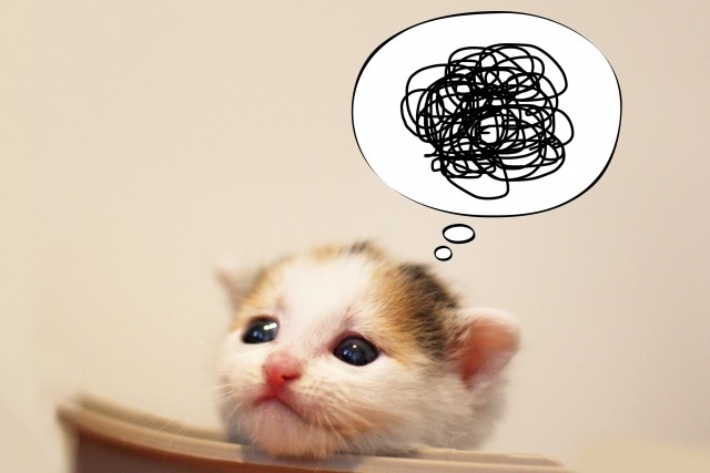 ネットショッピングならではの不安がある