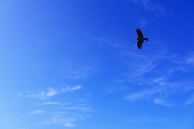 H77765541の口コミ・評価