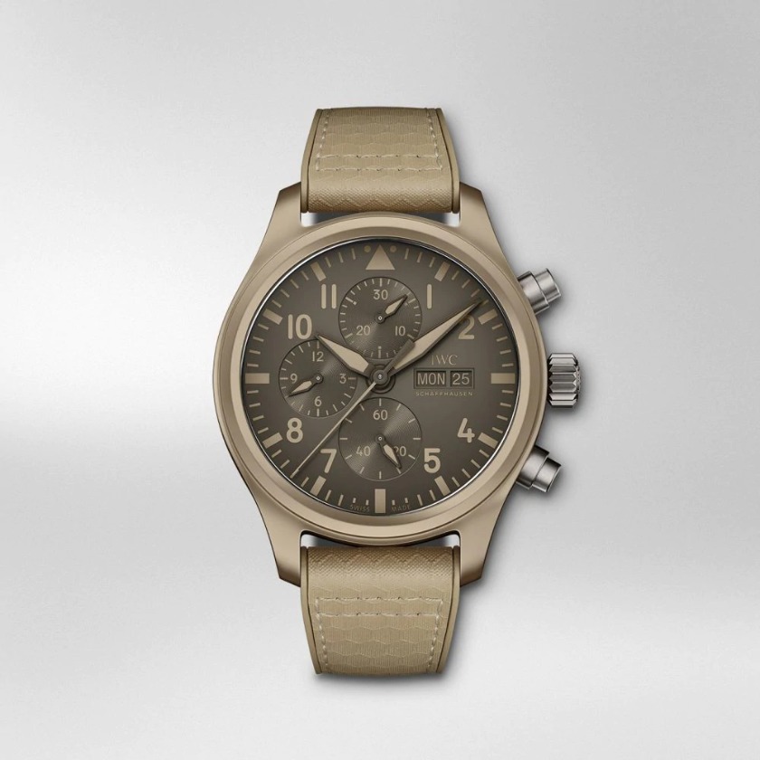 IWC トップガン IW389103