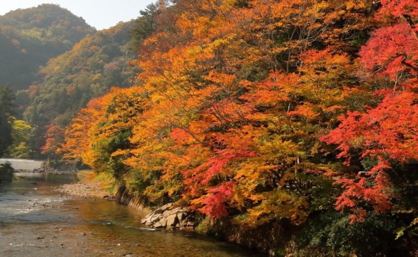 井原市周辺の時計店：メガネの池田屋の口コミ